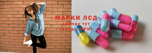spice Пересвет