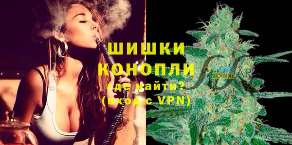 дурь Покачи