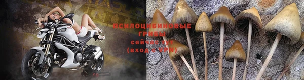 дурь Покачи